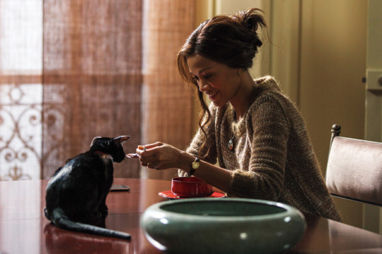 Rosemary (Zoe Saldana) y el gato bautizado "no-name" ¿por qué será?