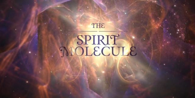  DMT - The Spirit Molecule