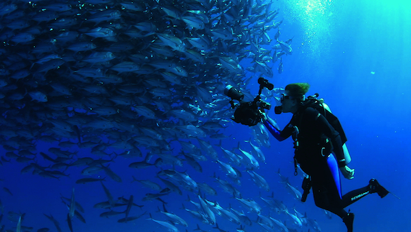 Dr. Sylvia Earle in a scene from the Netflix documentary “Mission Blue.” Photo courtesy of Netflix 